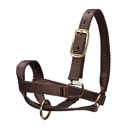 CAT1550 BR-02